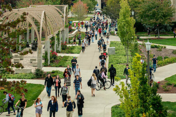 Students On Sidewalk